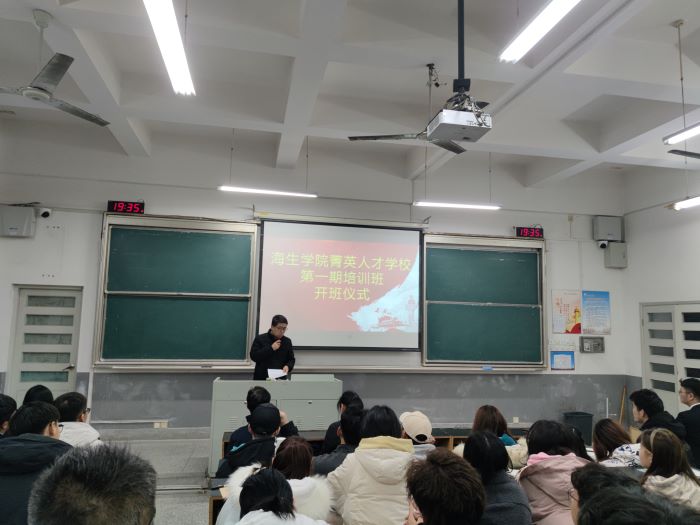 C335